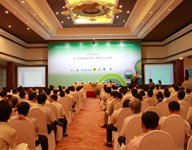 Bảng giá thuê màn hình chiếu tại TP. HCM 2026: hình ảnh sắc nét full hd