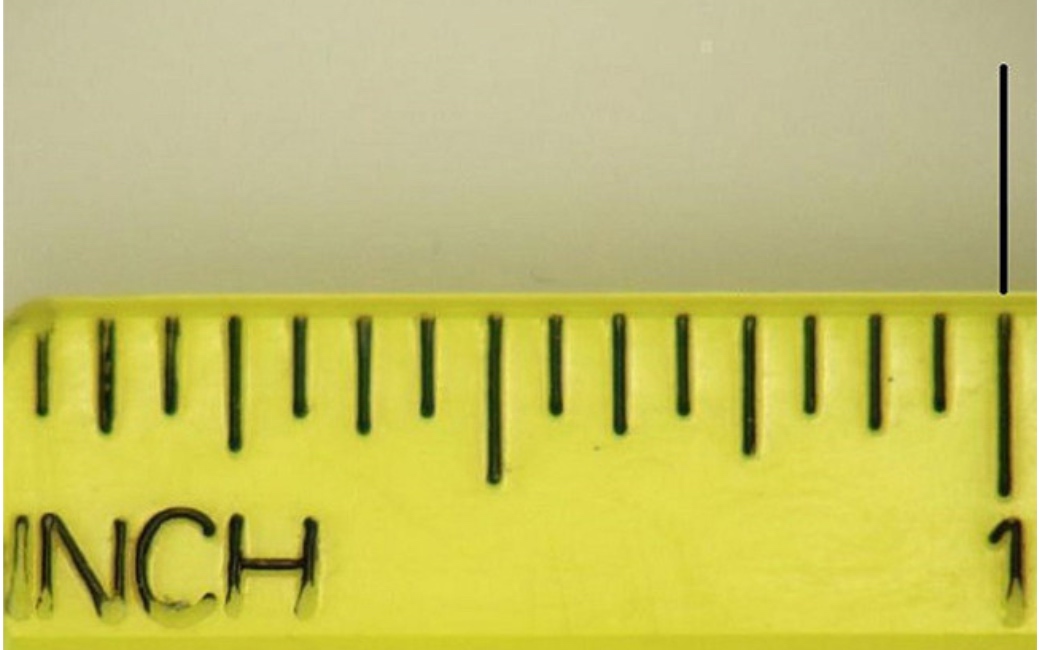 1 inch trên thước đo