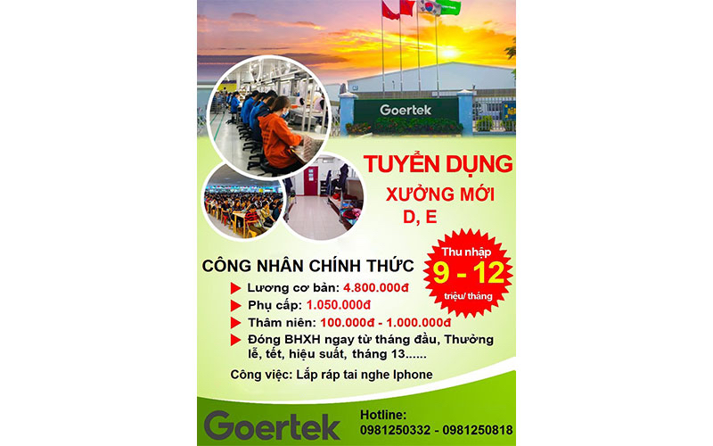 Mẫu tờ rơi tuyển dụng chuyên nghiệp